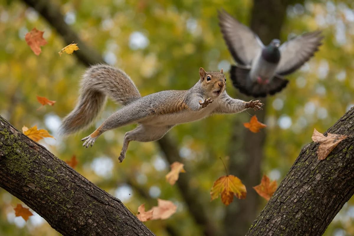 iNaturalist Community's Funniest Nature Memes Are Also Secretly Educational